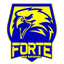 Forte FC - Team Forte Fc 386528 Live Score Today