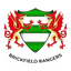 Brickfield Rangers - Team Brickfield Rangers 317624 Football Live Score