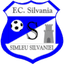 CS Sportul Simleu Silvaniei - Team Cs Sportul Simleu Silvaniei 346257 Football