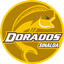 Club Deportivo Dorados de Sinaloa - Team Club Deportivo Dorados De Sinaloa 300643 Live Score Today