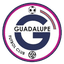 Guadalupe FC - Crc Primera Division 32245 Football Live