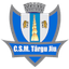 CSM Targu Jiu - Team Csm Targu Jiu 367653 Result