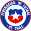 Chile Women U17 - Team Chile W U 305244 Live Score