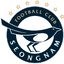 Seongnam FC - Live Team Seongnam Fc 299762