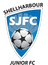 Shellharbour JFC - Team Hills United Fc 334455 Football