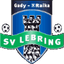 SV Lebring - Team Sv Lebring 325630 Result