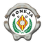 CD Soneja - Team Cd Soneja 362256 Live Score Today
