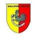 Gallipoli - Gallipoli Vs Canosa 720140 Football Score