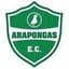 Arapongas PR - Team Arapongas Pr 315788 Football Result