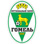 FC Gomel Reserves - Team Fc Gomel Reserves 332579 Football Score