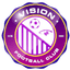 Vision FC - Team Vision Fc 329861 Live Football