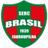Brasil de Farroupilha - Team Santa Cruz Rs 331455 Football Score