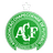 Chapecoense SC - Brazilian Serie B 32195 Football Result