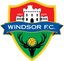 Windsor - Team Windsor 310640 Live Score Today