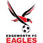 Edgeworth Eagles U20 - Team Edgeworth Eagles U 329900 Live Score