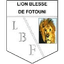 Lion Blesse - Team Lion Blesse 325675 Football