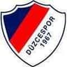 Duzcespor - Team Bulancak 312730 Football Live Score