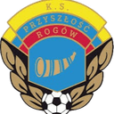Przyszlosc Rogow - Slaska VS Przyszlosc Rogow Live Score Today