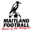 Maitland - Team Maitland 299286 Football Score