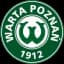 Warta Poznan Youth - Team Warta Poznan Youth 349736 Live Score
