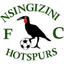 Nsingizini Hotspurs - Team Nsingizini Hotspurs 367937 Football Score