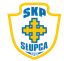 SKP Slupca - Team Skp Slupca 357909 Sport
