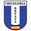 Tricolorul Breaza - Team Tricolorul Breaza 311671 Live Score Today