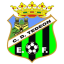 CD Tedeon - Tedeon VS Casalarreina Score