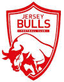 Jersey Bulls - Team Jersey Bulls 349607 Live Score