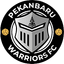 Pekanbaru Warriors - Team Pekanbaru Warriors 357970 Live Score Today