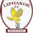 Liphakoe FC - Team Defence Force 365401 Football Live Score