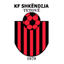 Shkendija U19 - Team Shkendija U 332479 Football Score