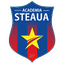 Steaua 57 - Team Steaua 331571 Live