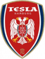 Tesla Burger - Team Tesla Burger 375792 Football Live Score