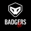 Badgers FC Women - Team Badgers Fc Women 361798 Live Score Today