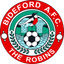 Bideford AFC - Team Bideford Afc 318640 Football Live Score