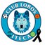 Lobos ITECA - Team Lobos Iteca 356340 Football Score