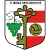 TJ Tatran Bohunice - Bohunice VS Brno Score