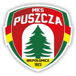 Puszcza Niepolomice - Player Igor Pieprzyca 1038269 298666 Football Score