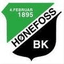 Honefoss U19 - Team Honefoss U 317299 Football Live
