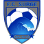 FC Surge Women - Team Fc Surge Women 325305 Live Score