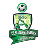 Elmina Sharks - Team Sefwi All Stars Fc 361355 Scores