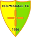 Holmesdale - Team Holmesdale 349608 Football Live Score