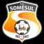 FC Somesul Dej - Team Fc Somesul Dej 346309 Live Score