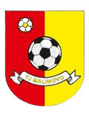 TJ Malinovo - Malinovo VS Fc Artmedia Petrzalka Live Score Today