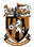 Folkestone - Player Ade Yusuff 199244 303202 Results