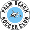 Palm Beach - Beach VS Musgrave Yellow Live Score