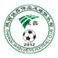 Shaanxi Jiaxin Weiye Football FC - Team Shaanxi Jiaxin Weiye Football Fc 387824 Result