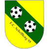 FC Schifflange 95 - Player Toniconti 484045 346348 Scores