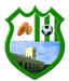 Deportivo Patulul - Team Deportivo Patulul 385018 Live Score